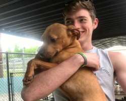 The actor has adopted a dog who also appeared in his Instagram posts.